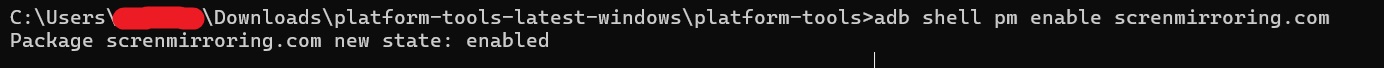 bravia-adb-enable-app.jpg